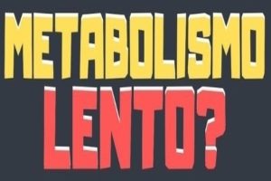 El Metabolismo Lento