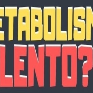 El Metabolismo Lento